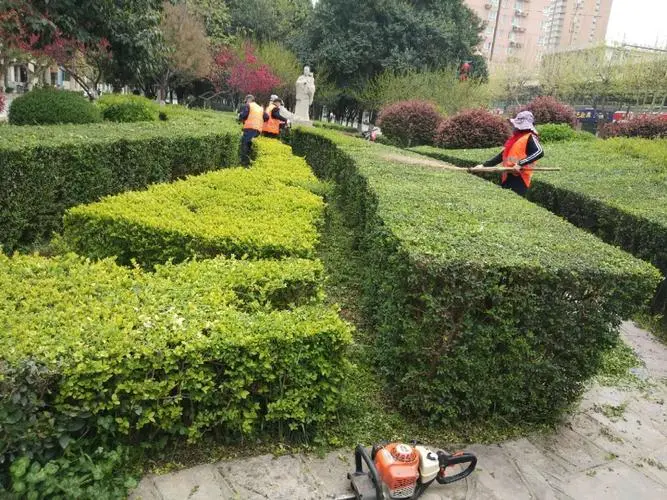 长宁区市政绿化工程建设