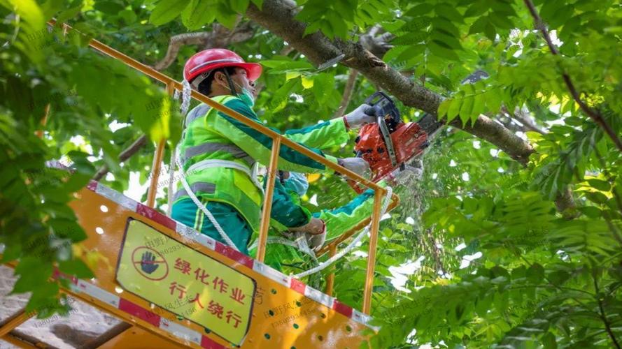苏州城管清理绿化工程项目